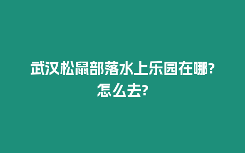 武汉松鼠部落水上乐园在哪?怎么去?