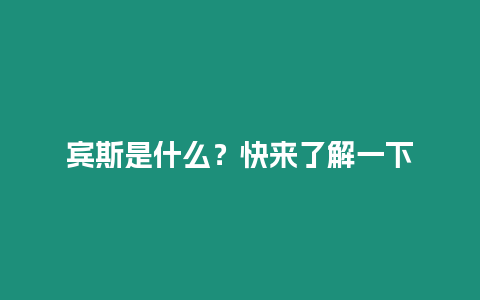 宾斯是什么？快来了解一下