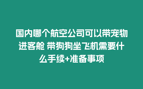 国内哪个航空公司可以带宠物进客舱 带狗狗坐飞机需要什么手续+准备事项