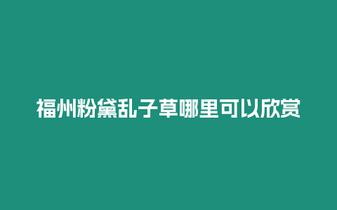 福州粉黛乱子草哪里可以欣赏