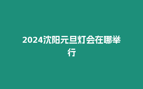 2024沈阳元旦灯会在哪举行