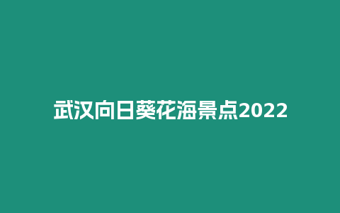 武汉向日葵花海景点2024