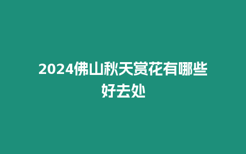 2024佛山秋天赏花有哪些好去处