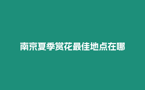 南京夏季赏花最佳地点在哪