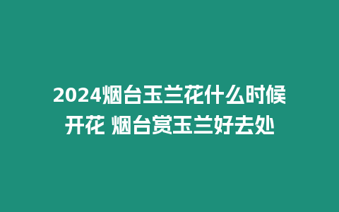 2024烟台玉兰花什么时候开花 烟台赏玉兰好去处