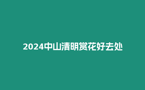 2024中山清明赏花好去处