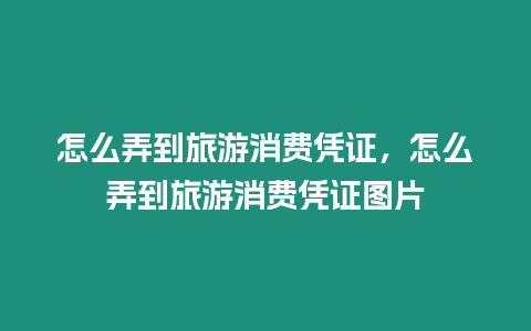 怎么弄到旅游消费凭证，怎么弄到旅游消费凭证图片