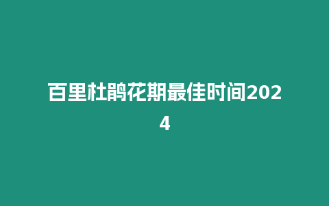 百里杜鹃花期最佳时间2024