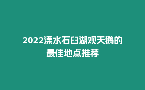 2024溧水石臼湖观天鹅的最佳地点推荐