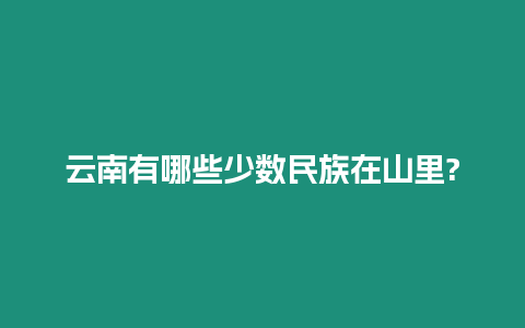 云南有哪些少数民族在山里?