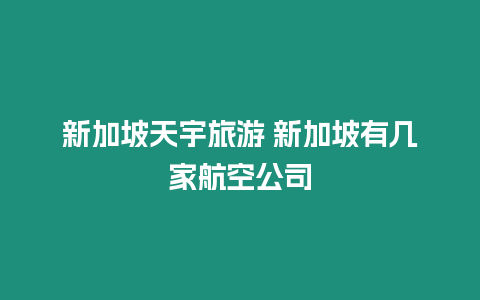 新加坡天宇旅游 新加坡有几家航空公司