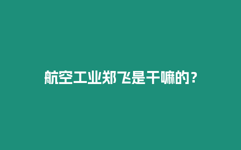 航空工业郑飞是干嘛的？