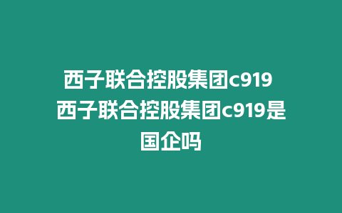 西子联合控股集团c919 西子联合控股集团c919是国企吗