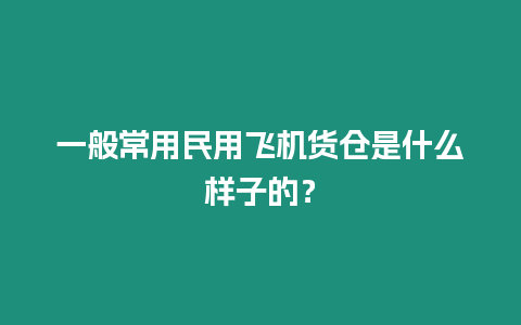 一般常用民用飞机货仓是什么样子的？