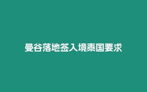 曼谷落地签入境泰国要求