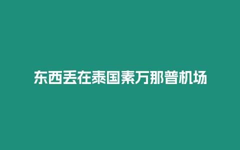 东西丢在泰国素万那普机场