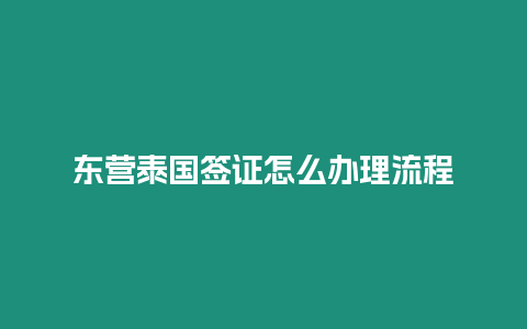 东营泰国签证怎么办理流程